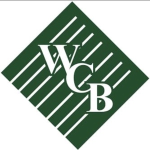 Fundraising Page: Debbie Tolley